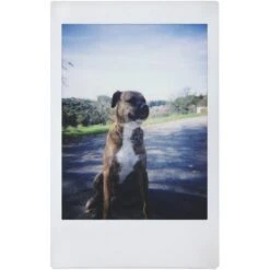 Lomo Instant Camera + 3 Lenses - White -Nikon Shop 11489 lomography lomoinstant and 3 lenses kit white li800w 12 1