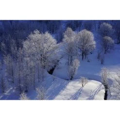 Sony FE 50mm F/1.4 Zeiss Lens -Nikon Shop 13007 b8 1