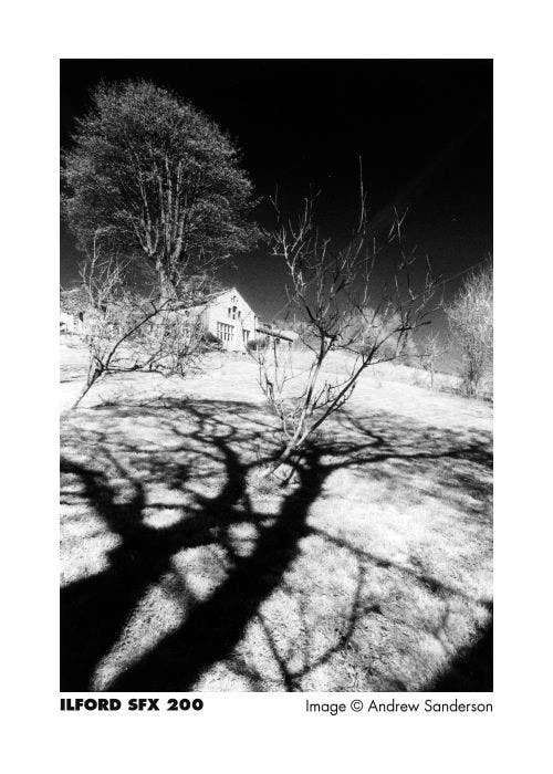 SFX200 135 36 ILFORD B&W ROLL FILM ILFORD 4 SFX200 135 36 ILFORD B&W ROLL FILM ILFORD - Image 4