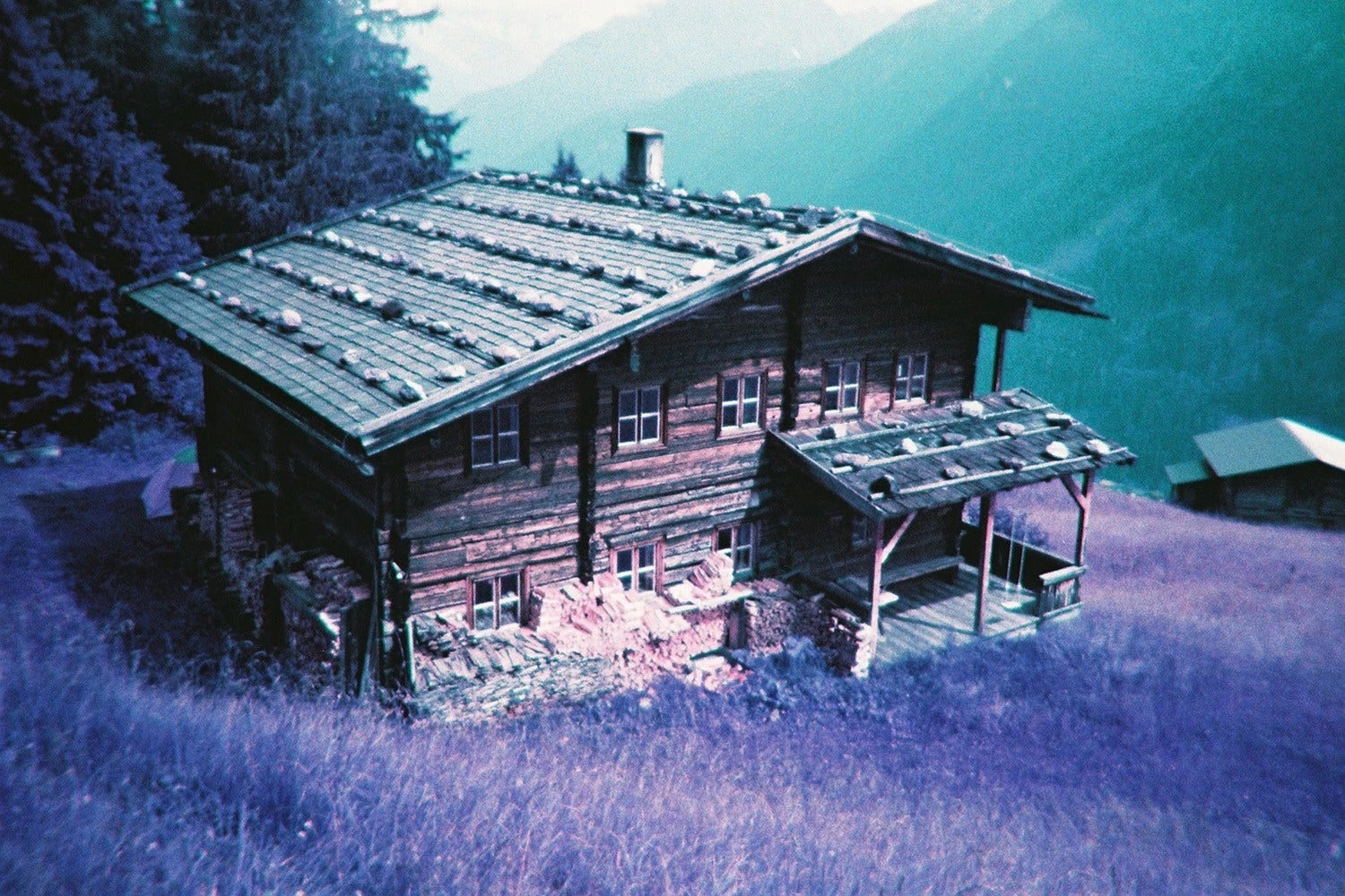 Lomography Simple Use Camera Lomochrome Purple 10 Lomography Simple Use Camera Lomochrome Purple - Image 10