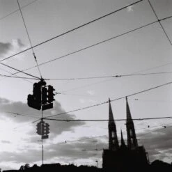 Lomography Earl Grey B&W Negative 100/120 - 3 Pack 10 Lomography Earl Grey B&W Negative 100/120 - 3 Pack -Nikon Shop 16672 lomography earl grey 100 black and white negative film 120 roll film 3 packb 1