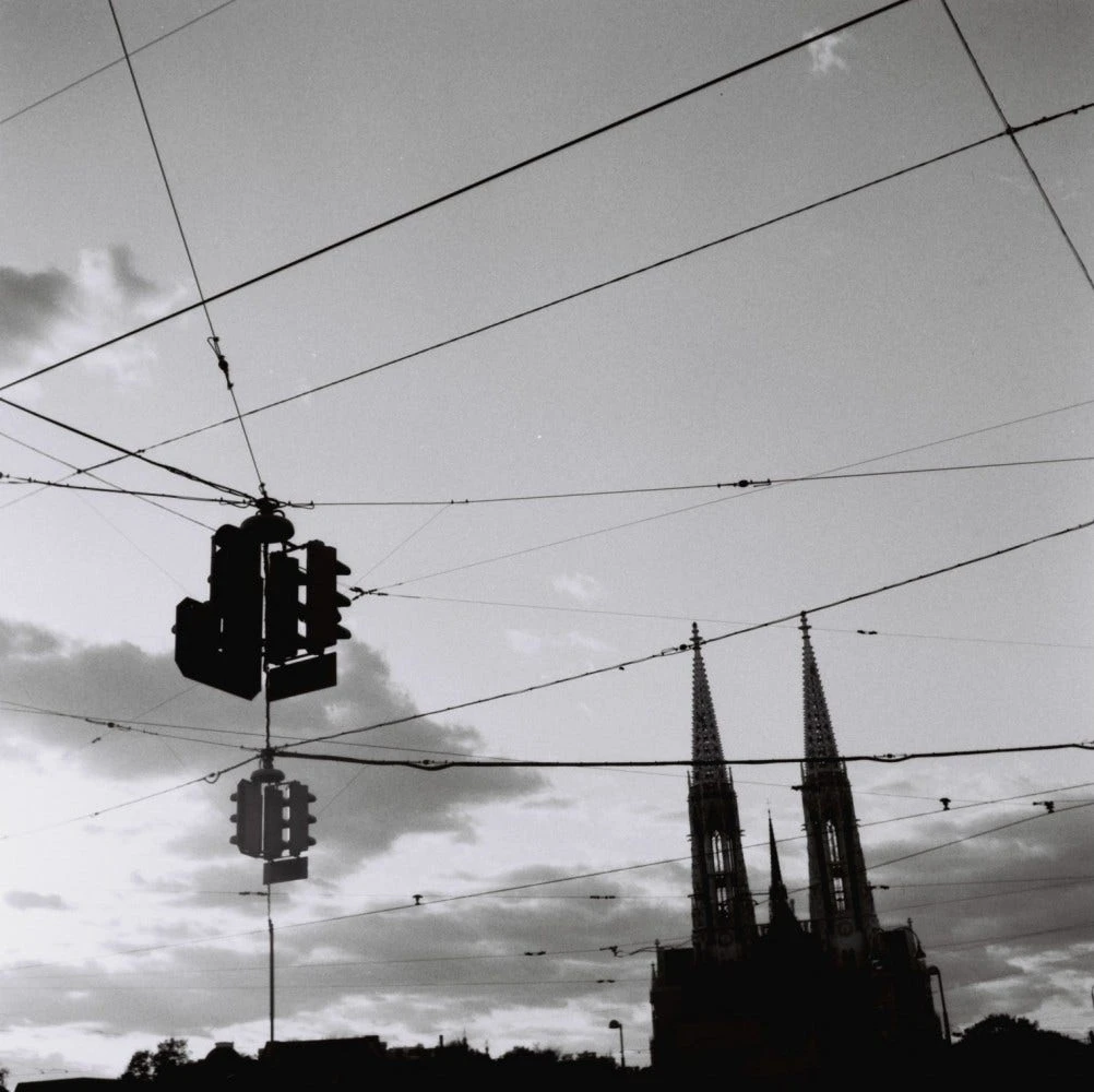 Lomography Earl Grey B&W Negative 100/120 - 3 Pack 5 Lomography Earl Grey B&W Negative 100/120 - 3 Pack - Image 5