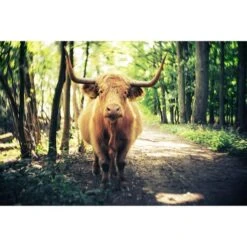 Lensbaby Composer Pro II W/Twist 60 Optic +ND Filter For Sony E Mount -Nikon Shop 1689810781 img 2037272