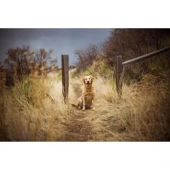 Lensbaby Composer Pro II W/Twist 60 Optic +ND Filter For Sony E Mount -Nikon Shop 1689810781 img 2037277