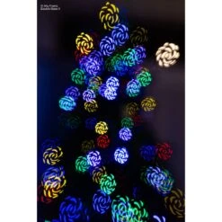 Lensbaby Twist 60 + Double Glass II Optic Swap Kit For L Mount -Nikon Shop 1689810781 img 2037302 5