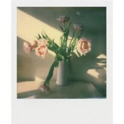 Polaroid Colour Film For I-Type