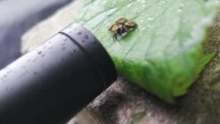 Laowa 24mm F/14 2X Macro Probe Lens Canon EF -Nikon Shop 17490 laowa 24mm f 14 2x macro probe lens canon efc 1