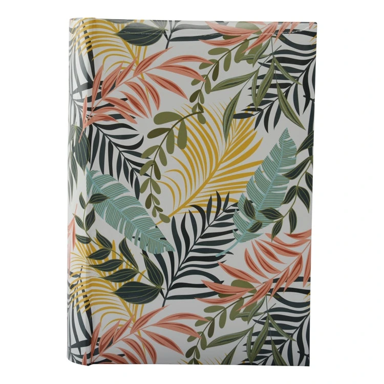 UR1 Malibu 300 Photos 4x6 1 UR1 Malibu 300 Photos 4x6