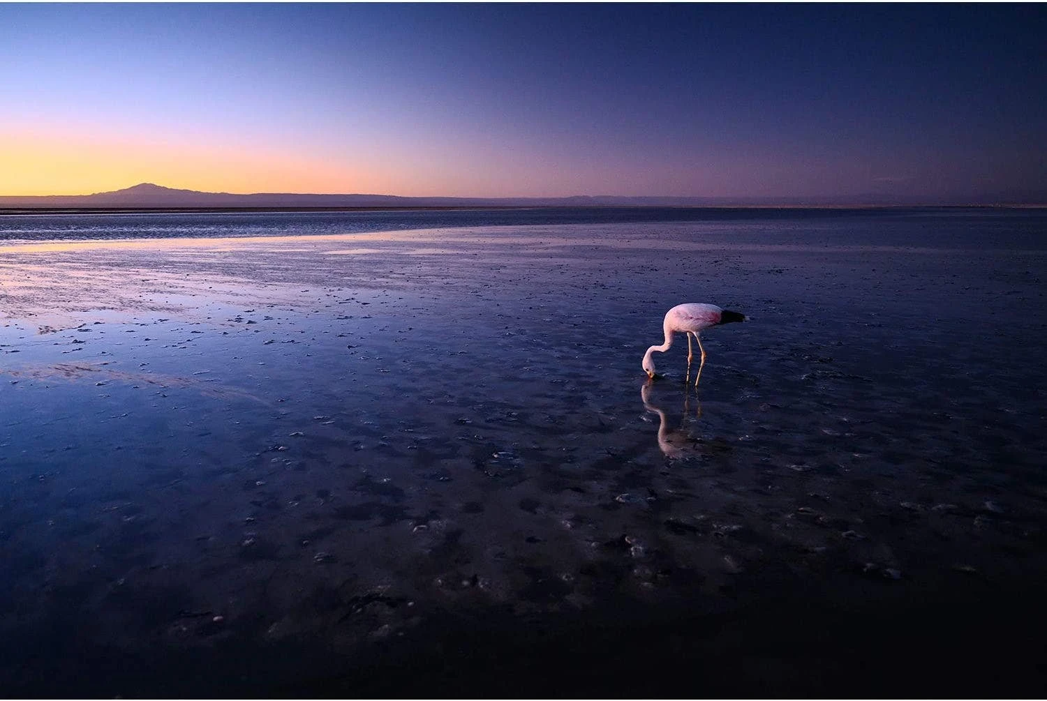 Nikon Nikkor Z 20mm F/1.8 S Lens 10 Nikon Nikkor Z 20mm F/1.8 S Lens - Image 10