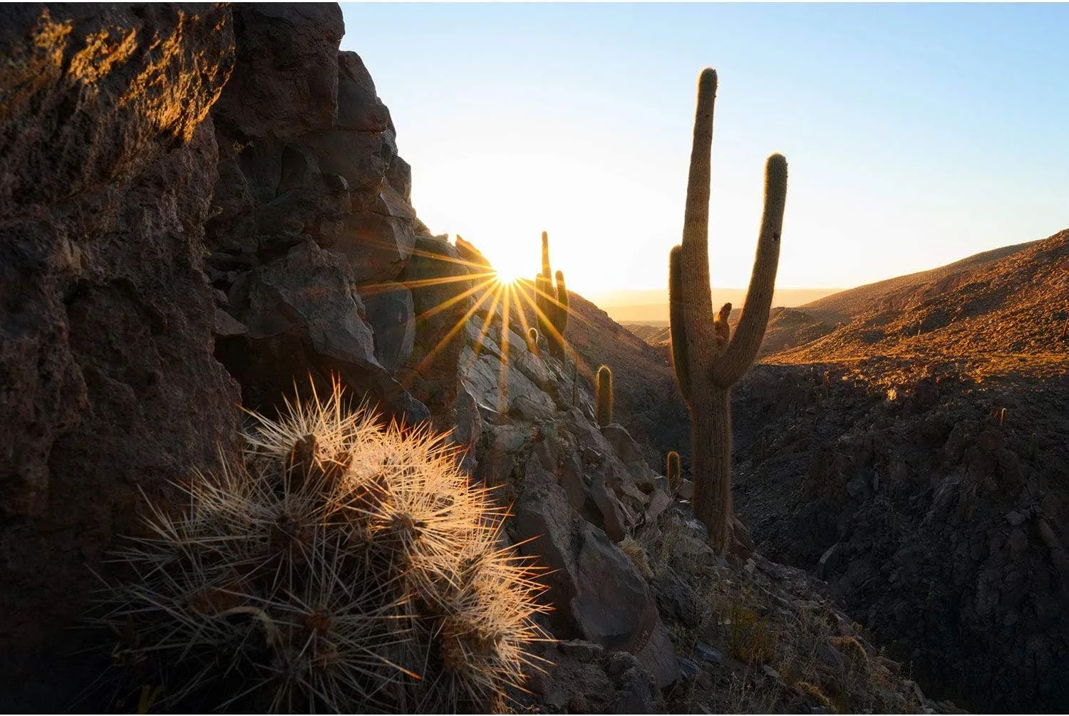 Nikon Nikkor Z 20mm F/1.8 S Lens 9 Nikon Nikkor Z 20mm F/1.8 S Lens - Image 9