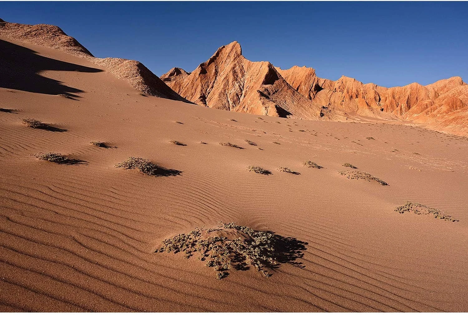 Nikon Nikkor Z 20mm F/1.8 S Lens 11 Nikon Nikkor Z 20mm F/1.8 S Lens - Image 11