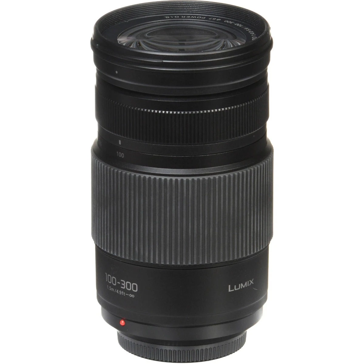 Panasonic Lumix G 100-300mm F/4-5.6 MkII Lens 9 Panasonic Lumix G 100-300mm F/4-5.6 MkII Lens - Image 9