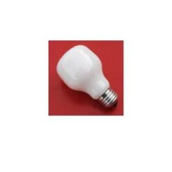 Paterson Enlarger Lamp 75w 230/240v Screw In Base