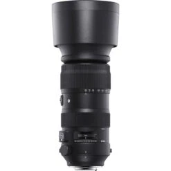 Sigma 60-600mm F/4.5-6.3 DG OS (S) - Canon -Nikon Shop sigma 60 600mm f 4.5 6 3. dg os s canon 04