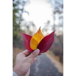 Tokina Atx-m 23mm F/1.4 Sony E 9 Tokina Atx-m 23mm F/1.4 Sony E -Nikon Shop tokina atx m 23mm f1.4 sony e 4