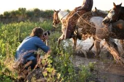 Nikon Z7 II Body -Nikon Shop z 7ii usdd cr 1536